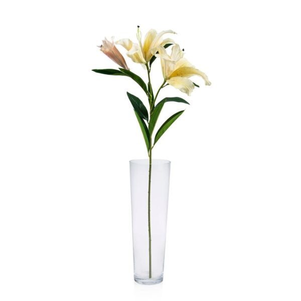 baytonia_main product photo