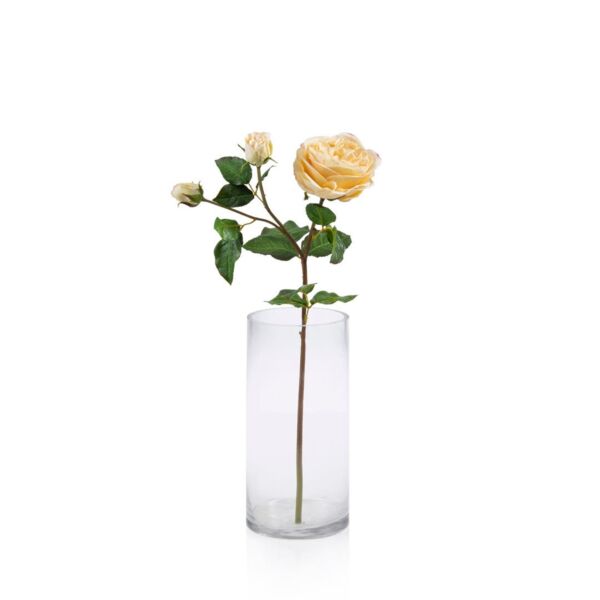 baytonia_main product photo