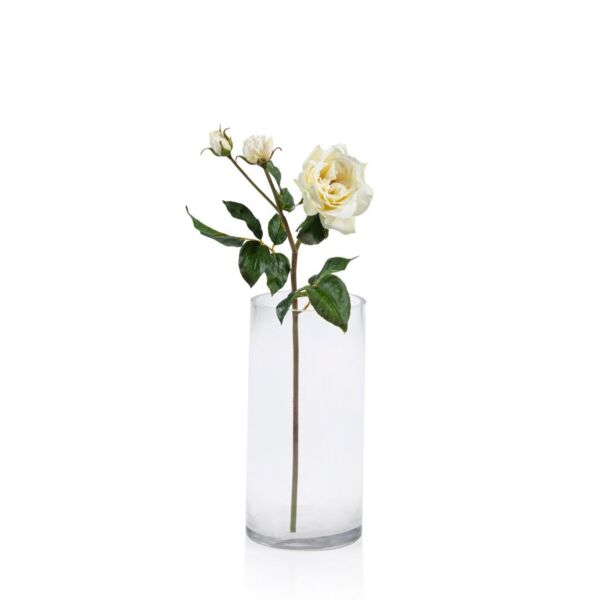 baytonia_main product photo