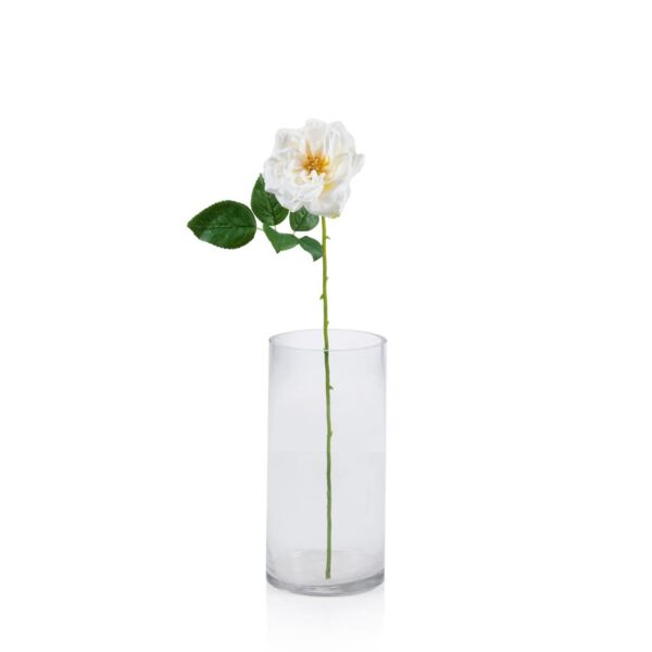 baytonia_main product photo