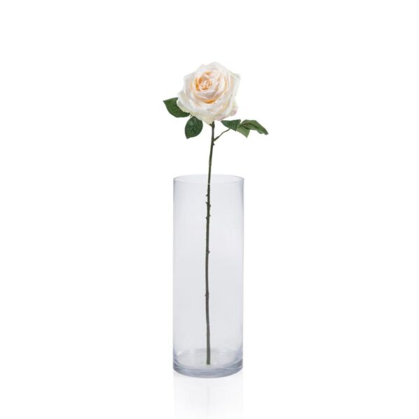 baytonia_main product photo