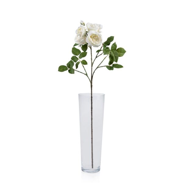 baytonia_main product photo