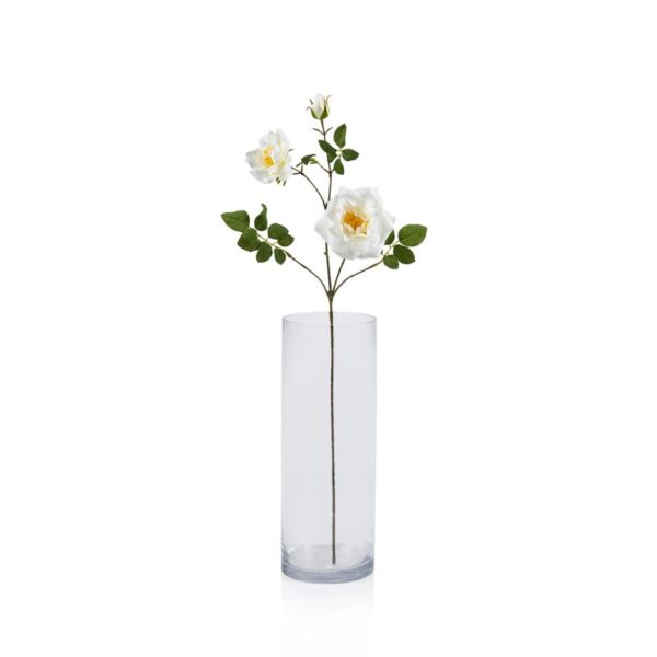 baytonia_main product photo