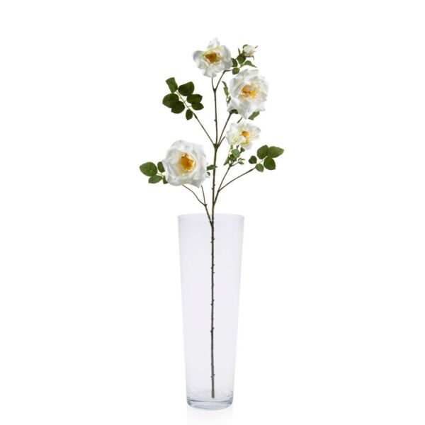 baytonia_main product photo