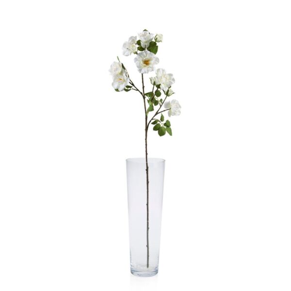 baytonia_main product photo