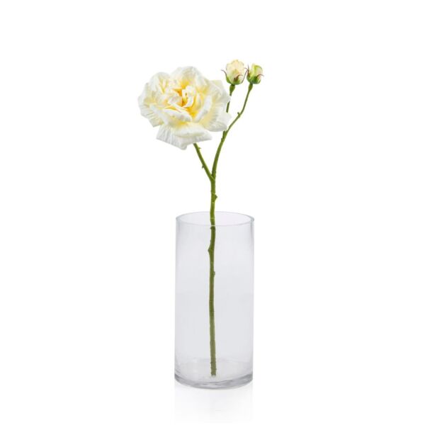 baytonia_main product photo