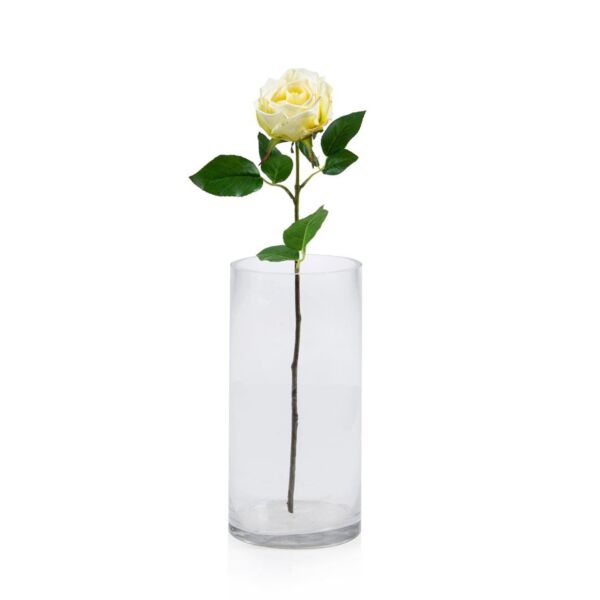 baytonia_main product photo