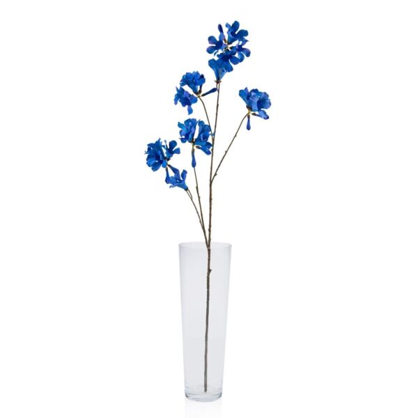 baytonia_main product photo