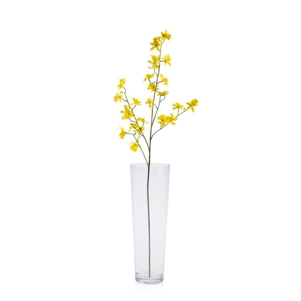 baytonia_main product photo