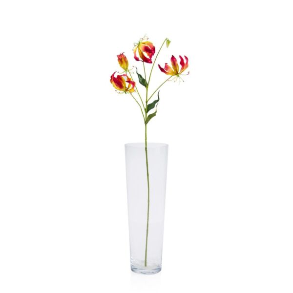 baytonia_main product photo