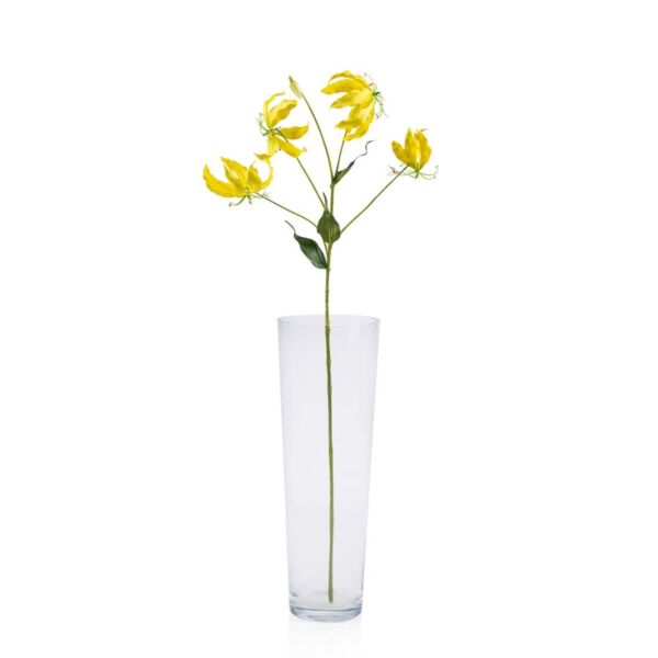 baytonia_main product photo