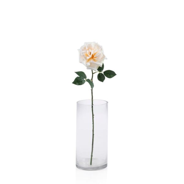 baytonia_main product photo