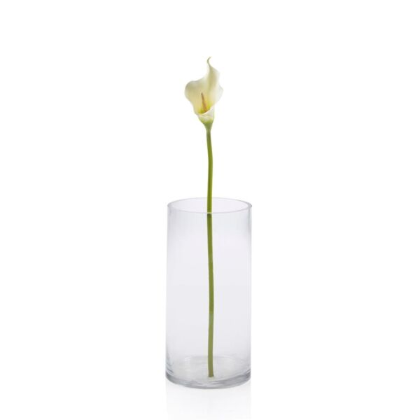 baytonia_main product photo