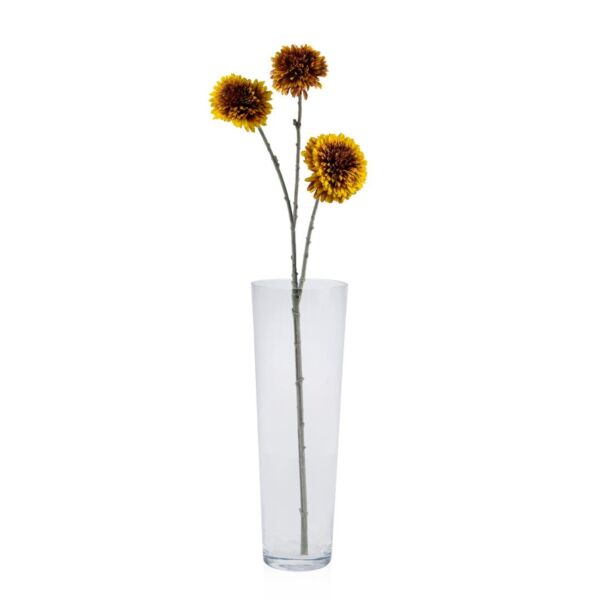 baytonia_main product photo