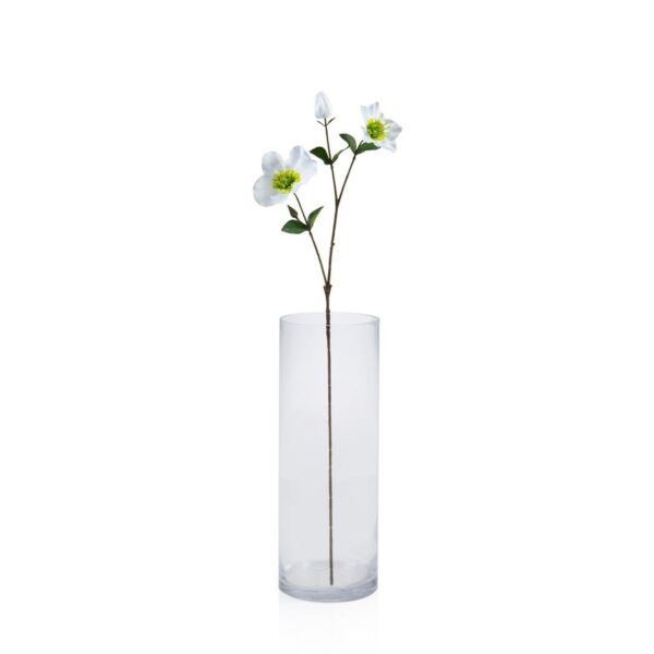 baytonia_main product photo