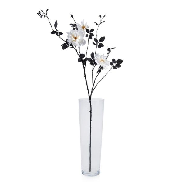baytonia_main product photo