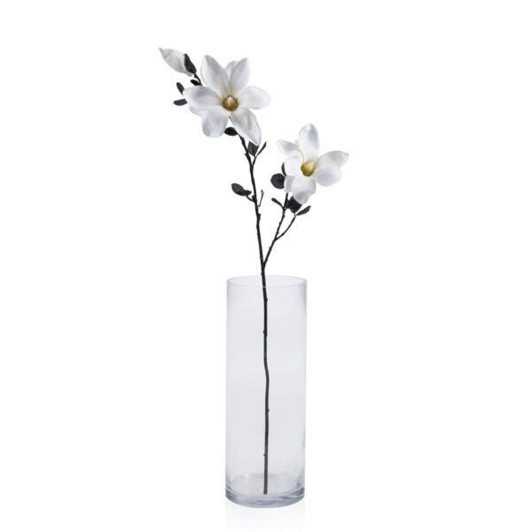 baytonia_main product photo