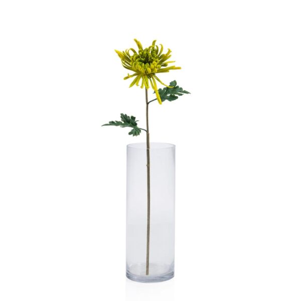 baytonia_main product photo