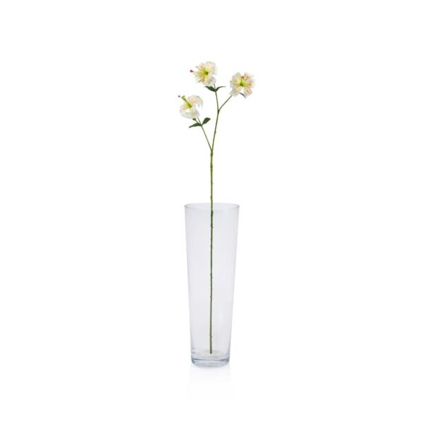 baytonia_main product photo