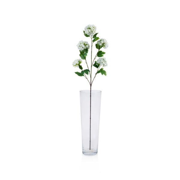 baytonia_main product photo