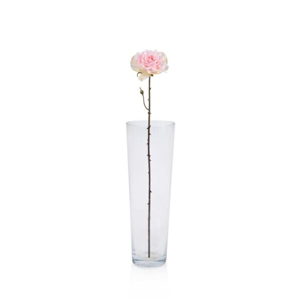 baytonia_main product photo