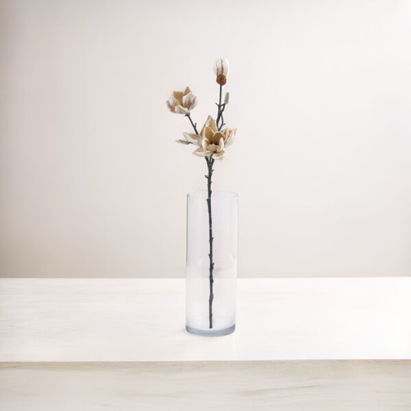 baytonia_main product photo