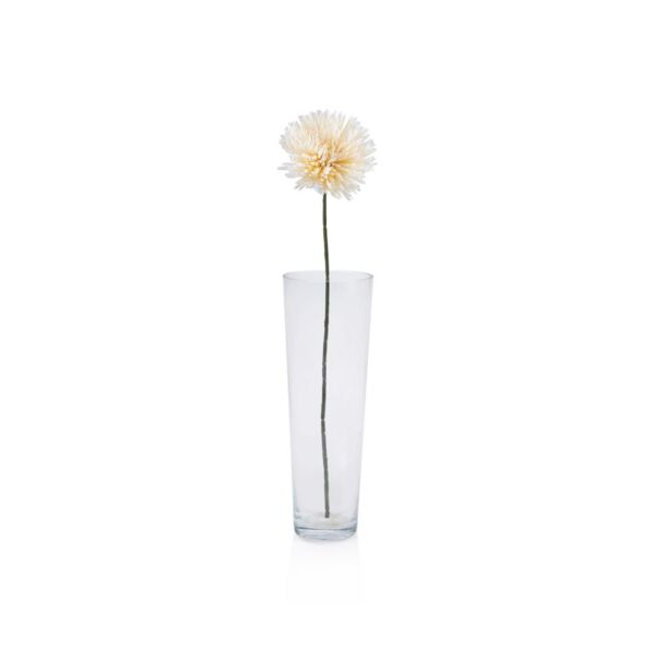 baytonia_main product photo