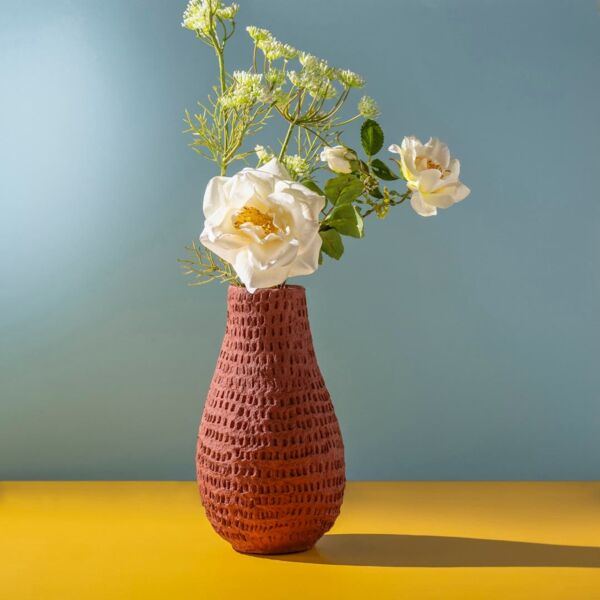 baytonia_main product photo