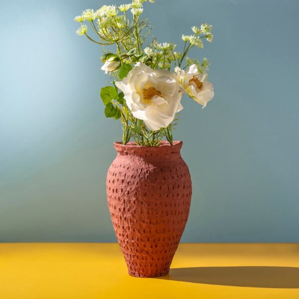 baytonia_main product photo
