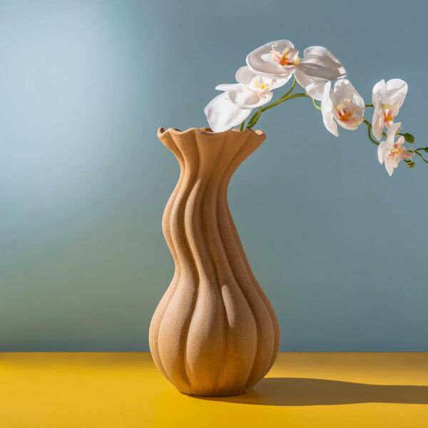 baytonia_main product photo