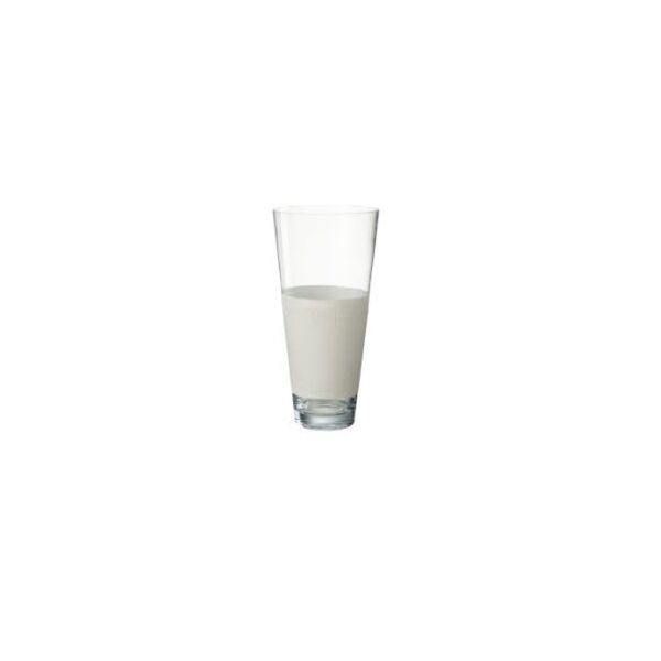 baytonia_main product photo