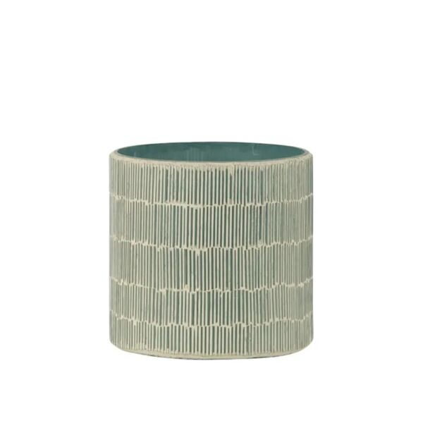 baytonia_main product photo