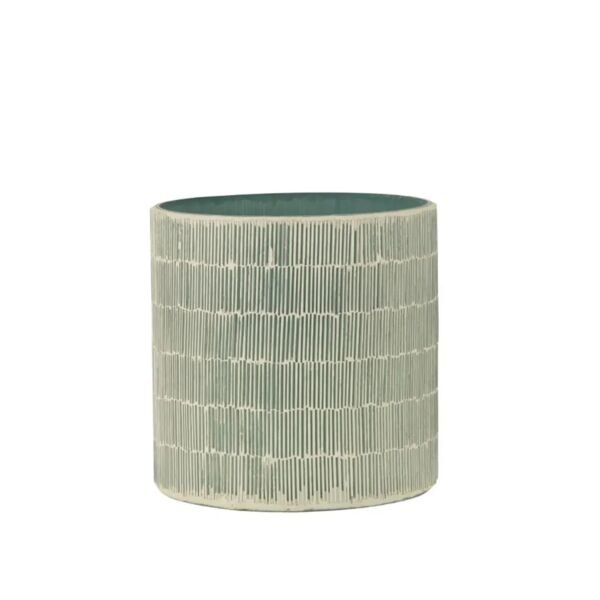 baytonia_main product photo