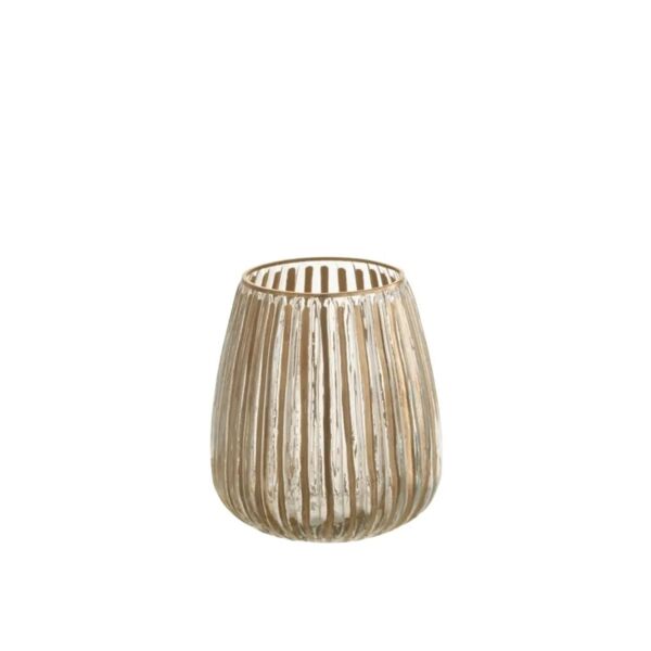 baytonia_main product photo