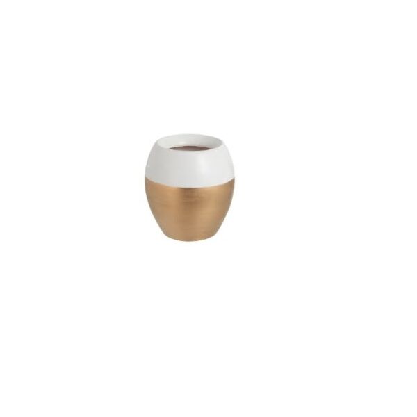 baytonia_main product photo