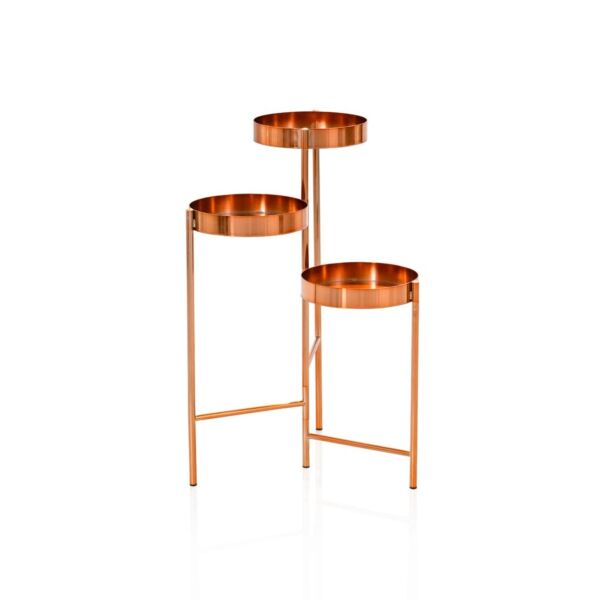 baytonia_main product photo