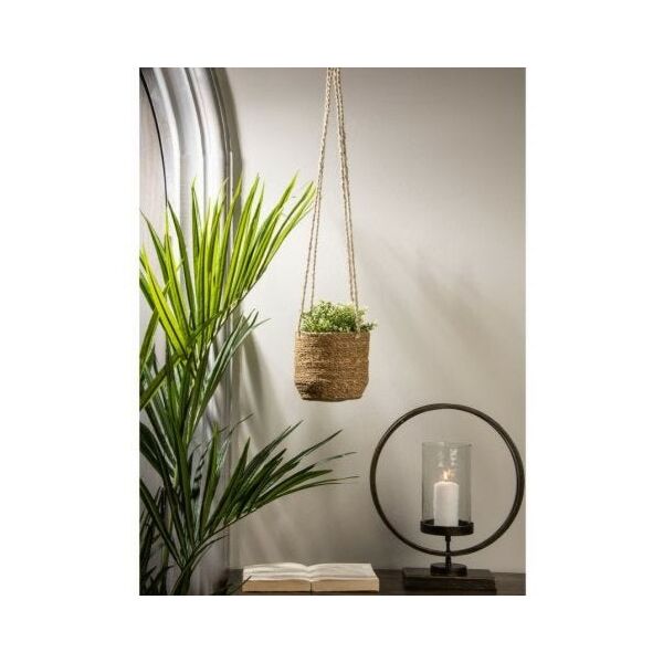baytonia_main product photo