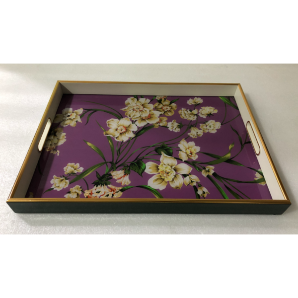 baytonia_main product photo
