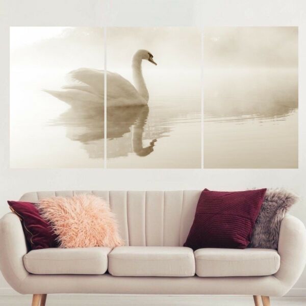 baytonia_main product photo