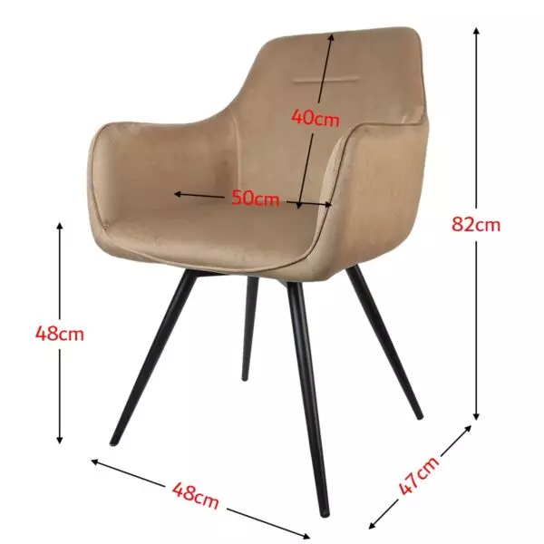 baytonia_gallery_image