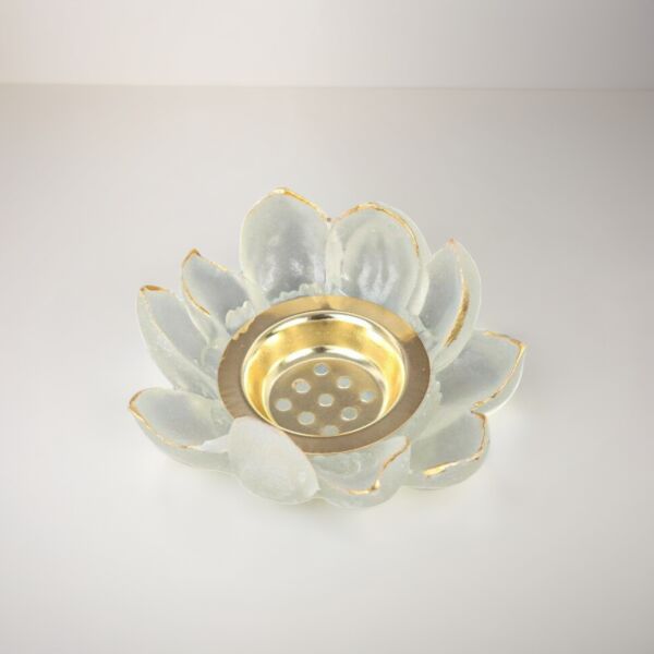 baytonia_main product photo