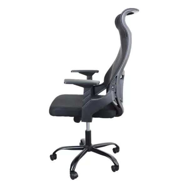 baytonia_gallery_image