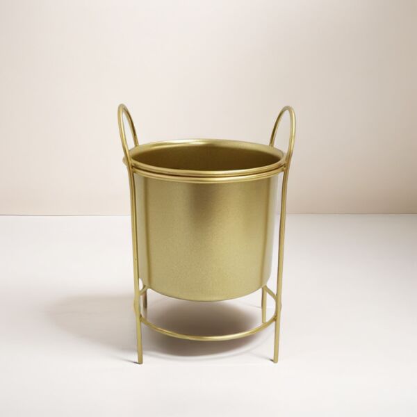 baytonia_main product photo