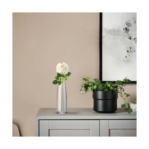 baytonia_main product photo