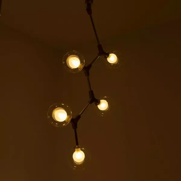 baytonia_gallery_image