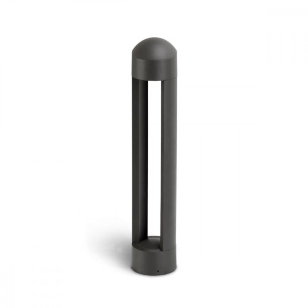 baytonia_main product photo
