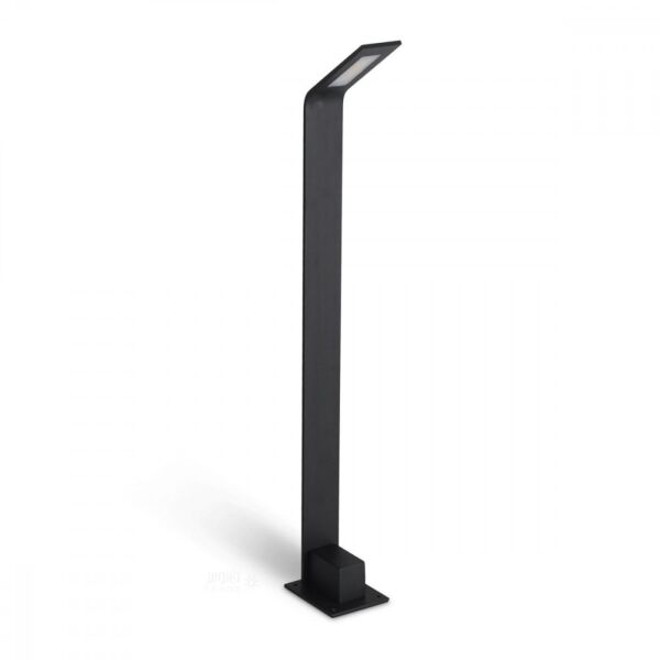 baytonia_main product photo