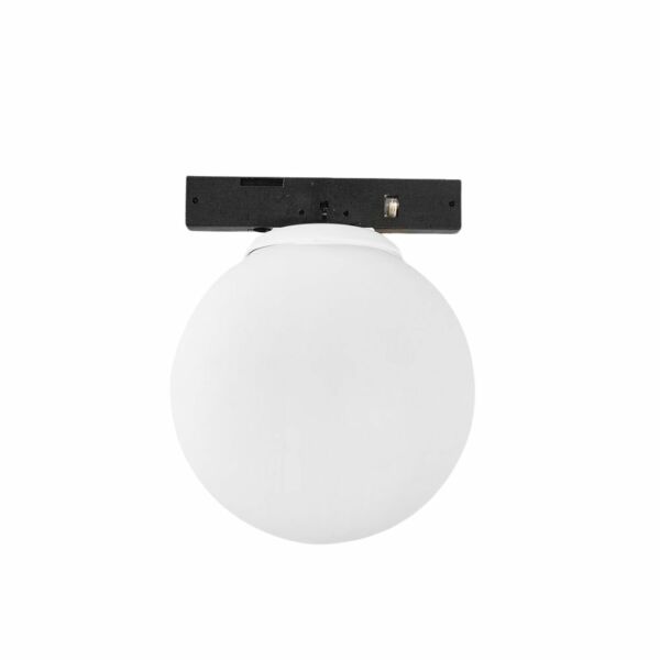 baytonia_main product photo
