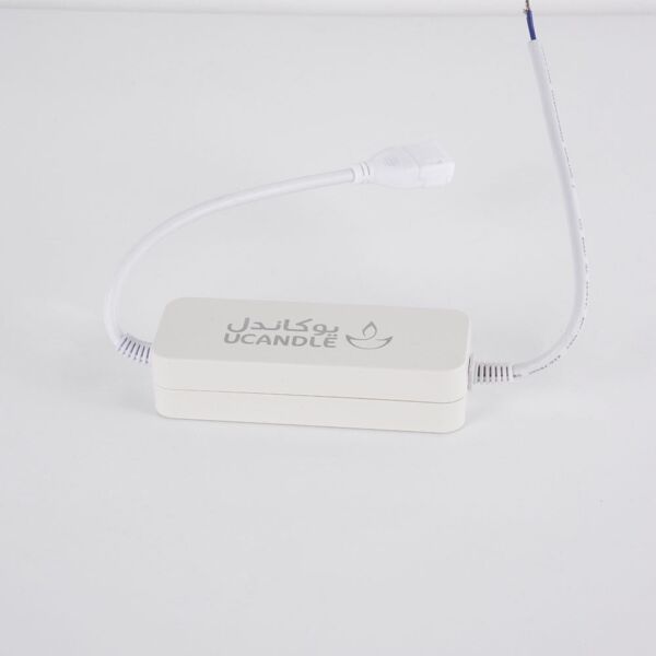 baytonia_main product photo