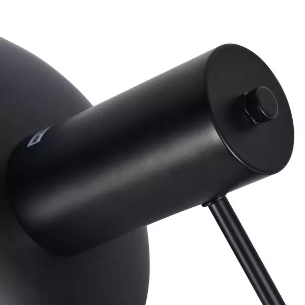 baytonia_gallery_image